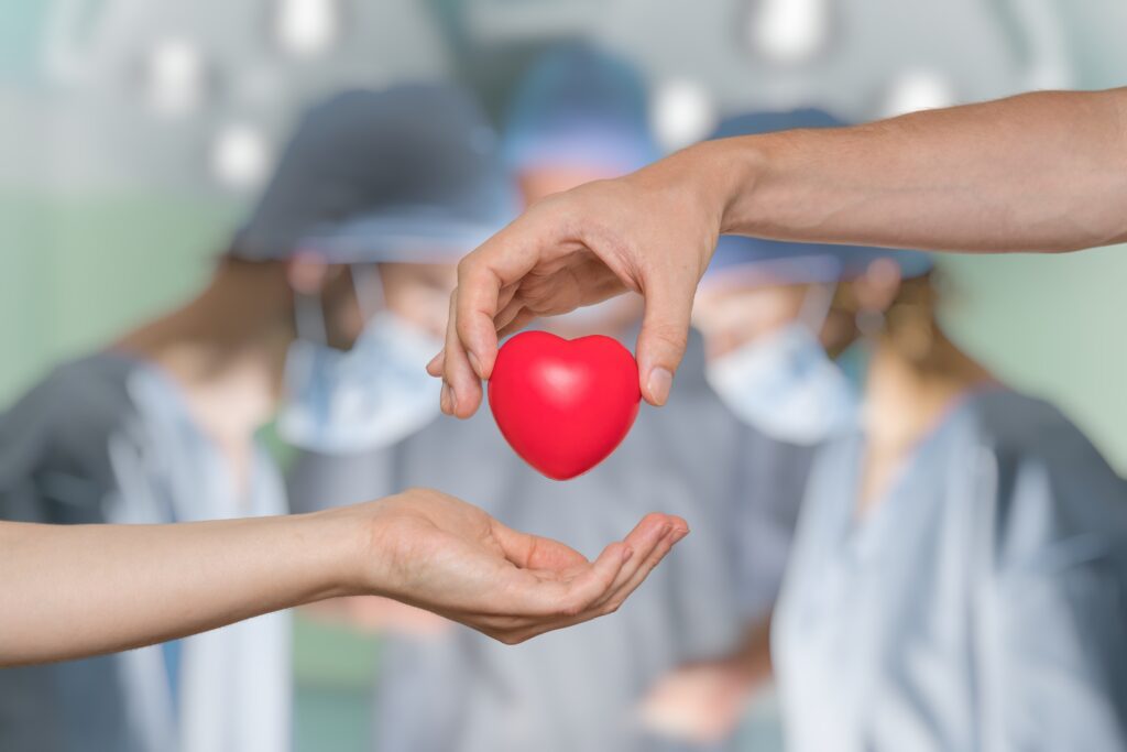 Cuore rosso tra due mani come simbolo di speranza
